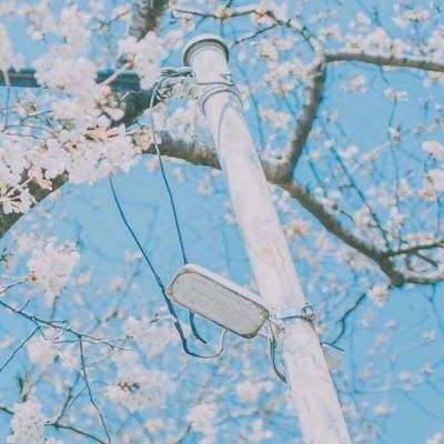 大力神大冒险游戏下载