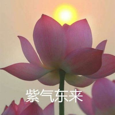 逆剑八荒官方版下载