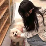 超次元战记破解版下载